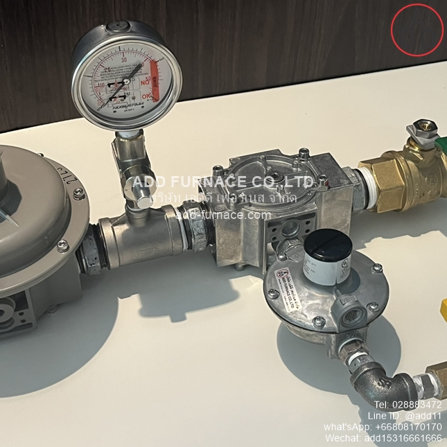 Premixed Combustion Gas Station (4)